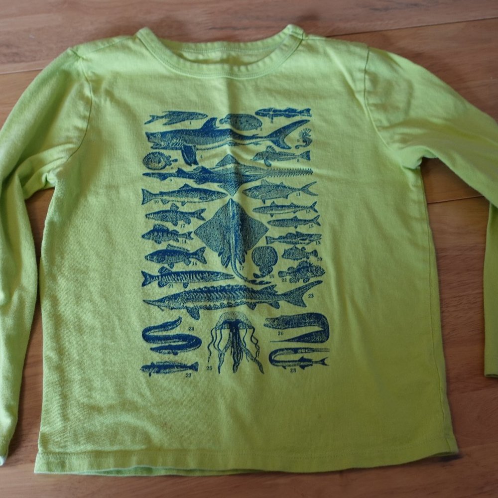 Ocean life graphic t